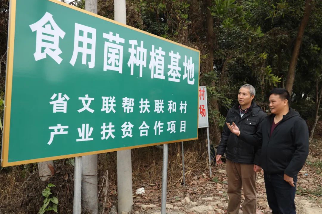 青灰石头上的彩色梦想——访广东省文联驻揭阳市五经富镇联和村驻村第一书记陈龙武